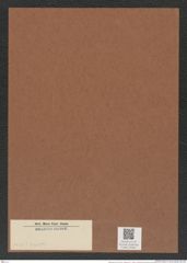 Diatomeae indet. (de-Toni-Nr.: Species 3437 ?, 4456x ?) Zeichnungen Sammlung Grunow Mappe 04381 (Herbarium_W_Grunow_drawings_Folder_04381)
